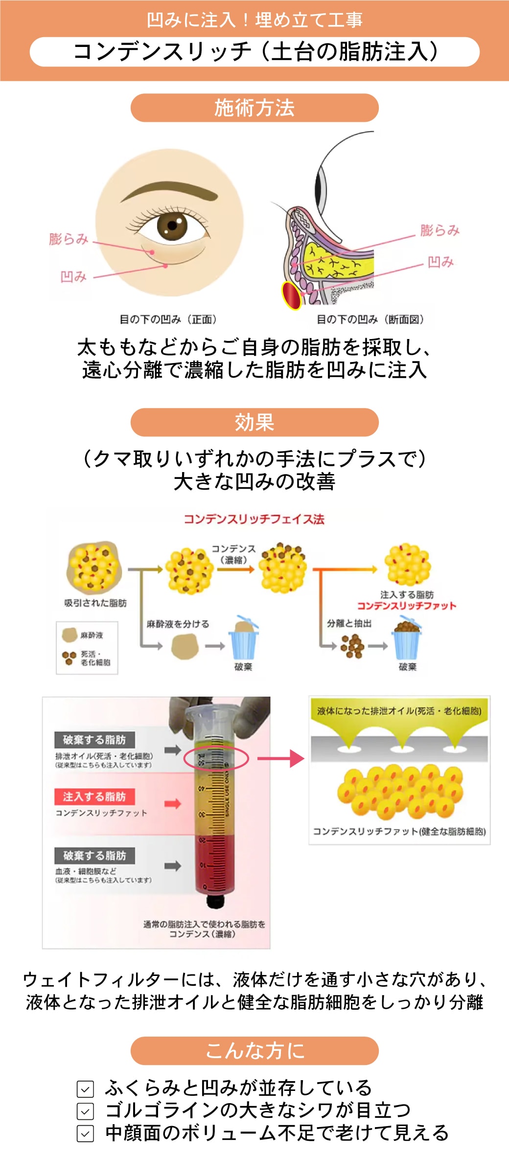 お顔の基礎建築 