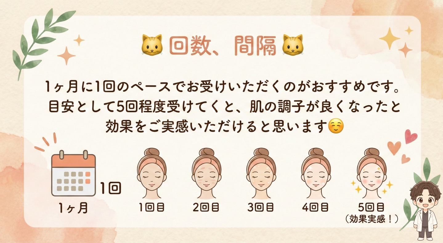 🐱回数、間隔🐱
