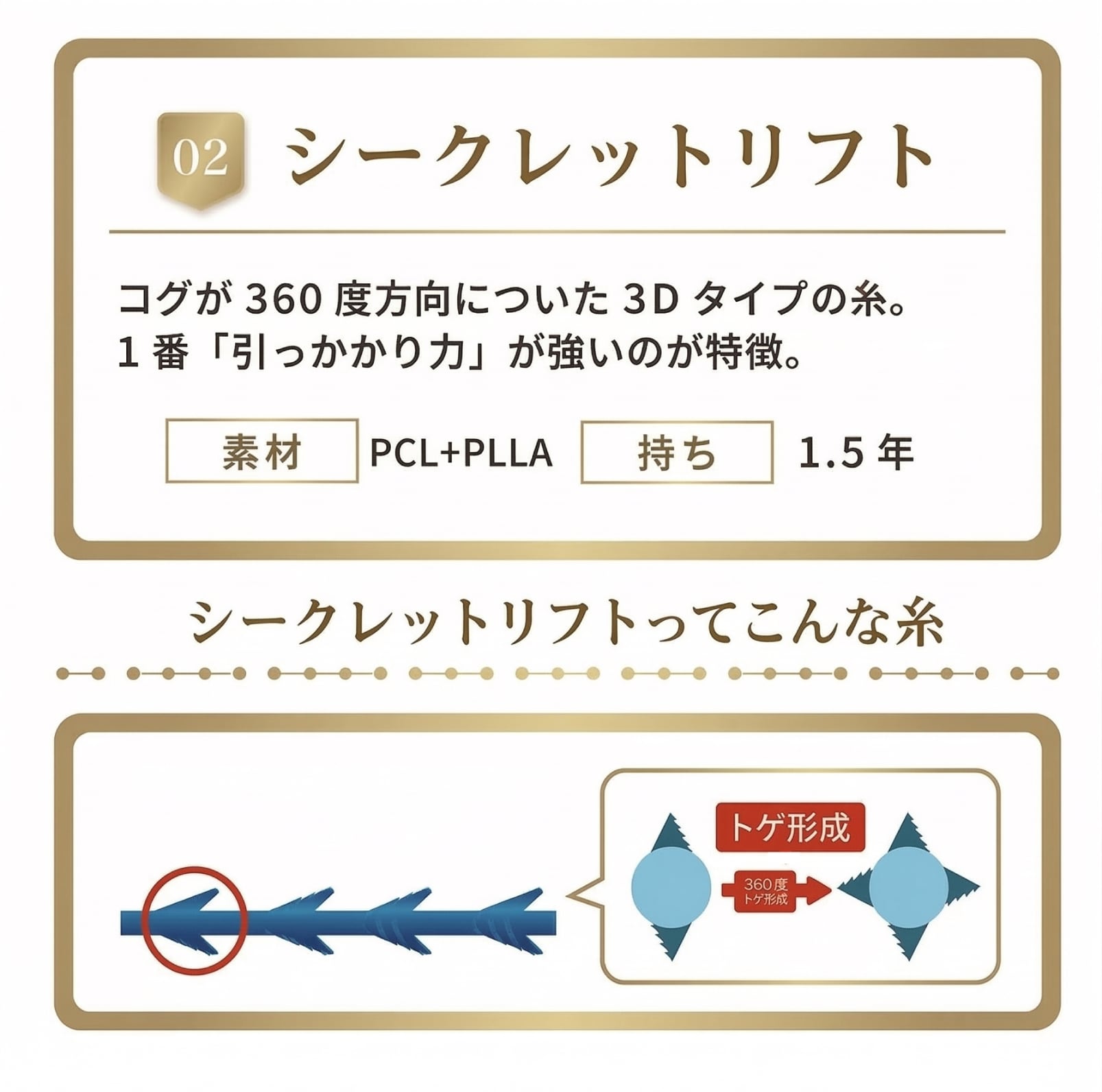 シークレットリフト