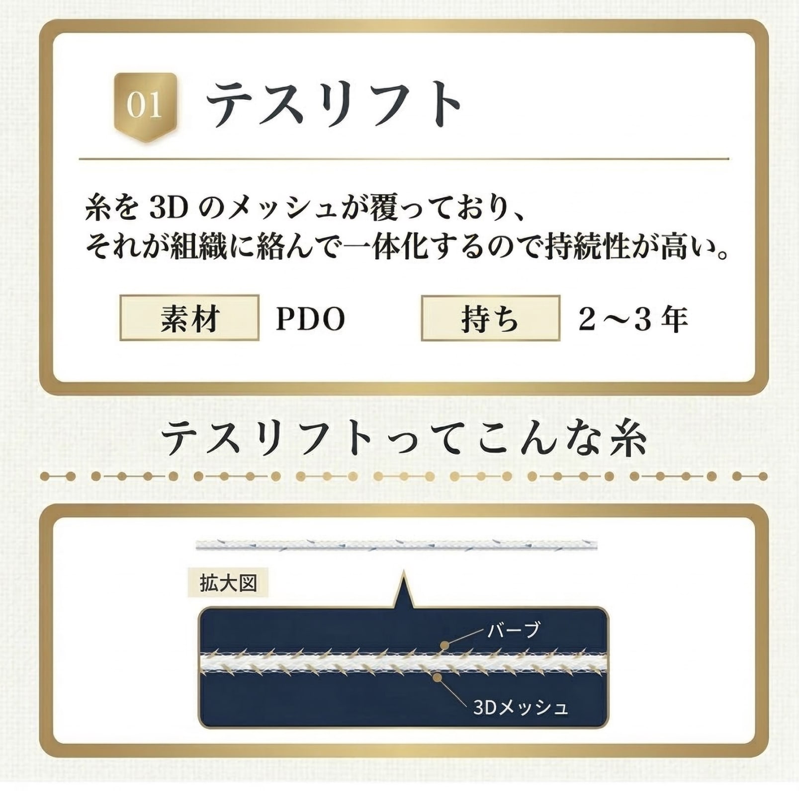 テスリフト（TESSリフト）