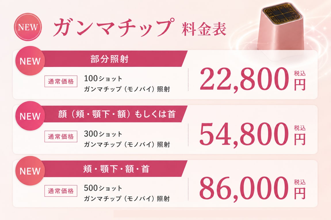 デンシティの価格案内｜ガンマチップ