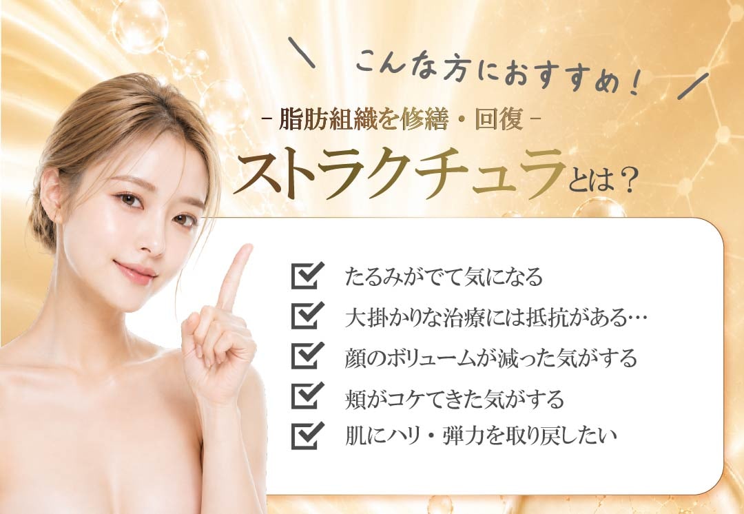ストラクチュラってなに？