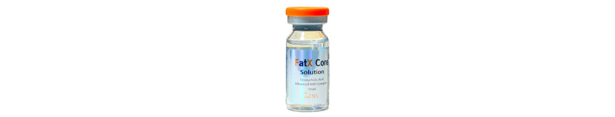 FatX core