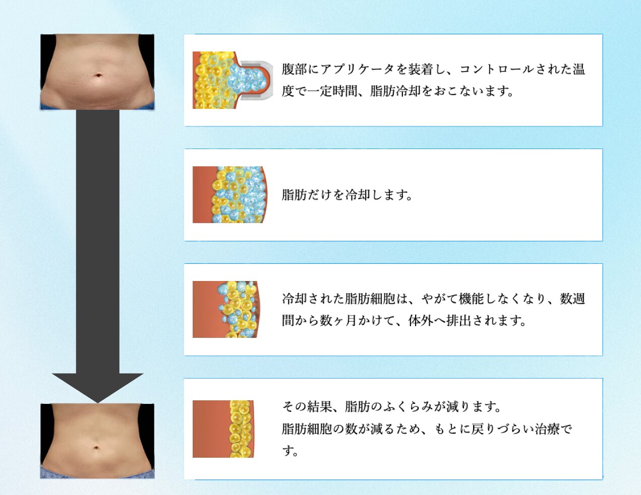 どうして痩せるの？