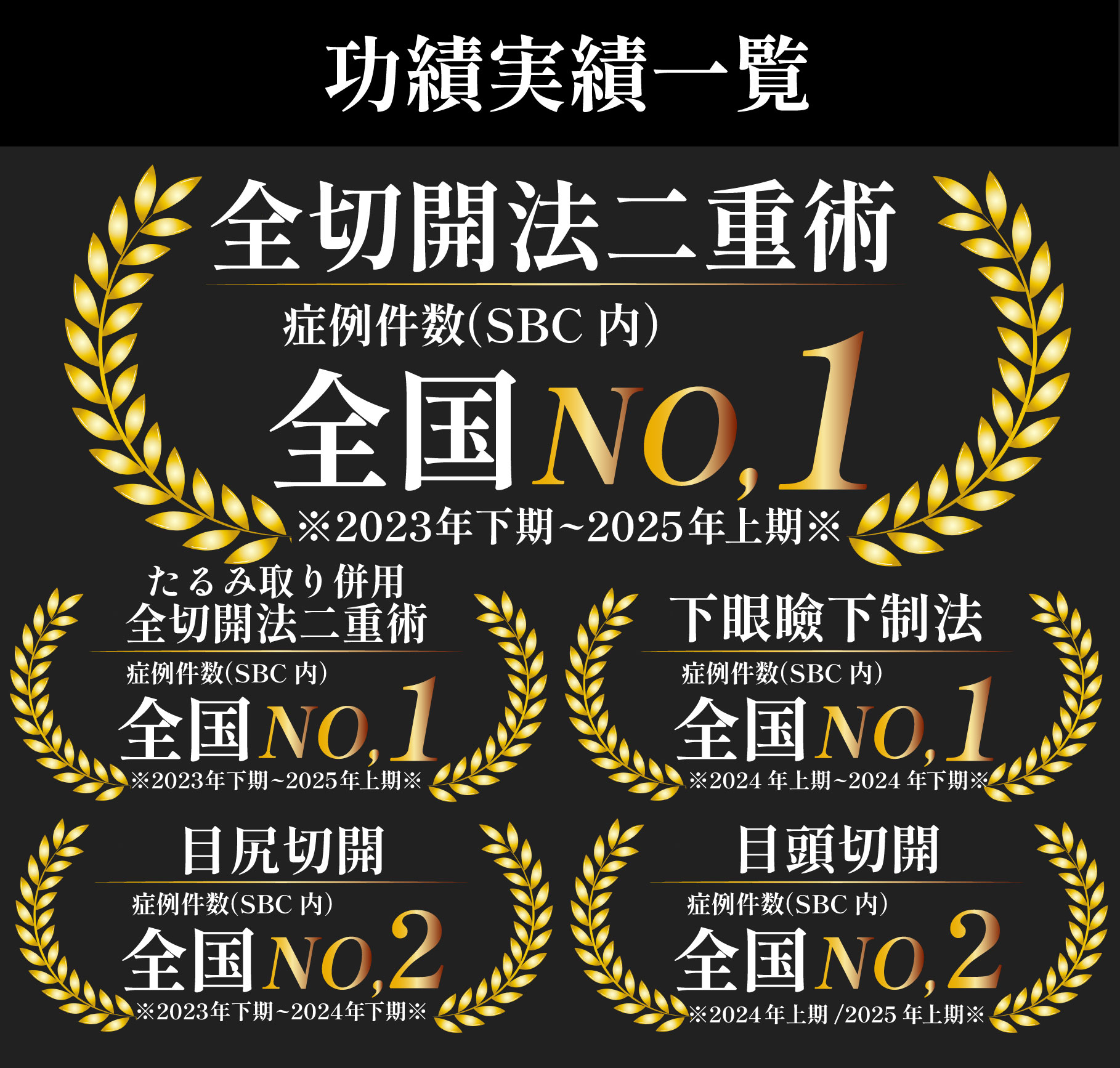 功績・実績が豊富で<br />
プレミアムドクターに選出