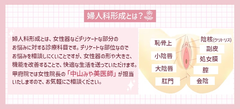 婦人科形成は近年注目を集めている美容施術