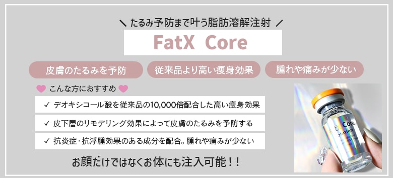 FatX Core(ファットエックスコア)