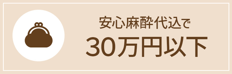 安心麻酔代込みでこの価格！