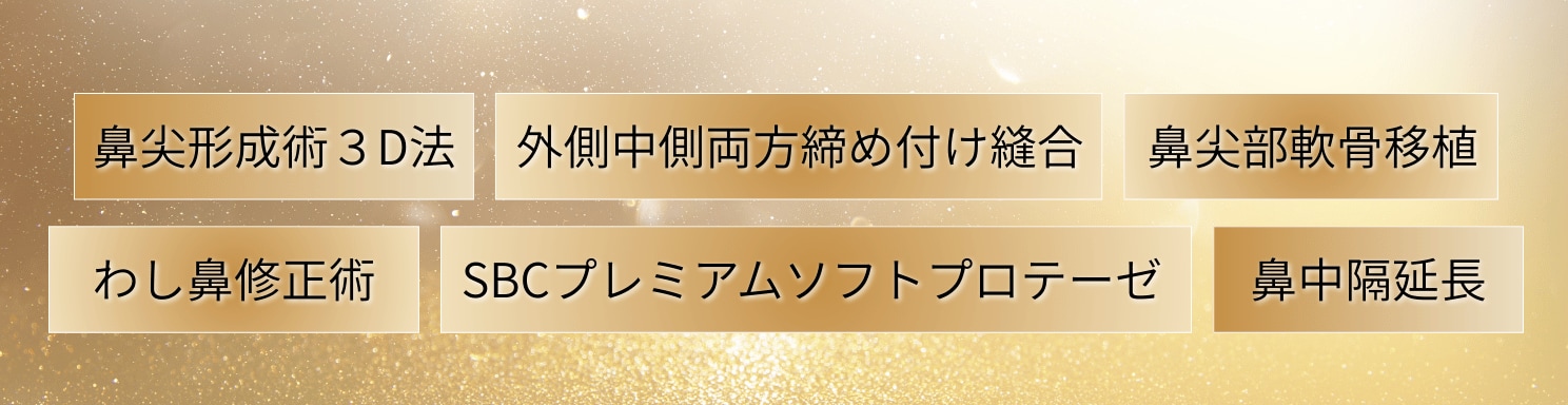 鼻整形の施術幅が圧倒的