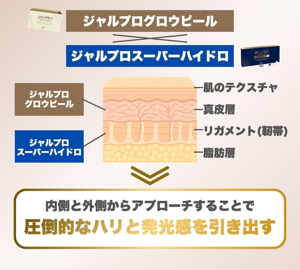 ジャルプロスキンプログラムとは