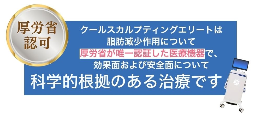 厚生労働省が唯一認可した医療機器