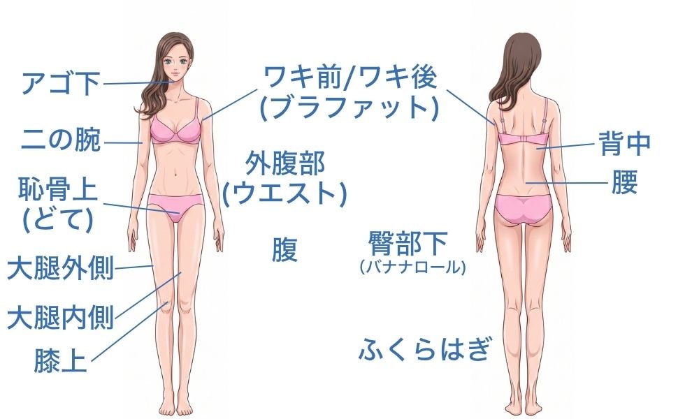 適応箇所はこちら