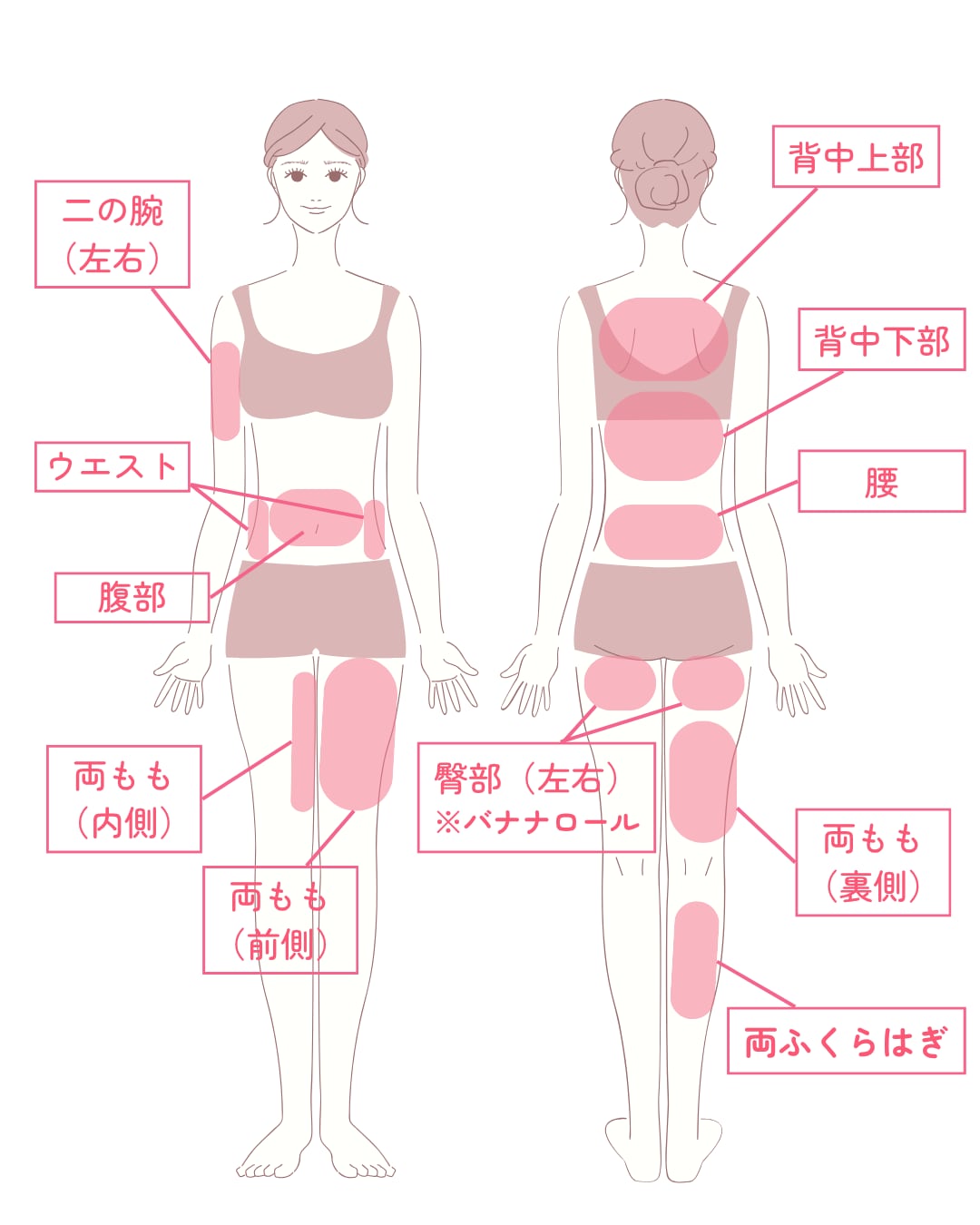 体の照射部位