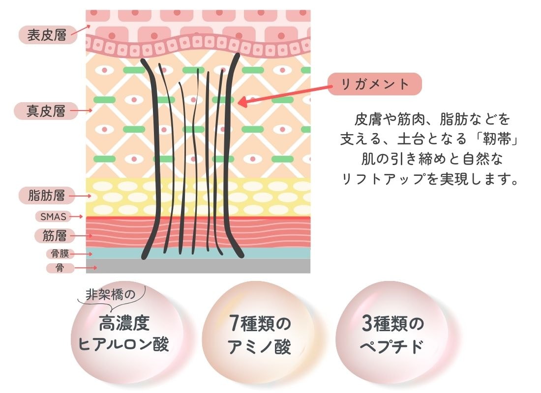 次世代の肌育🫧✨