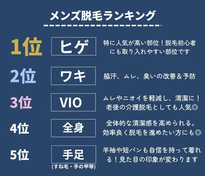 人気部位ランキング