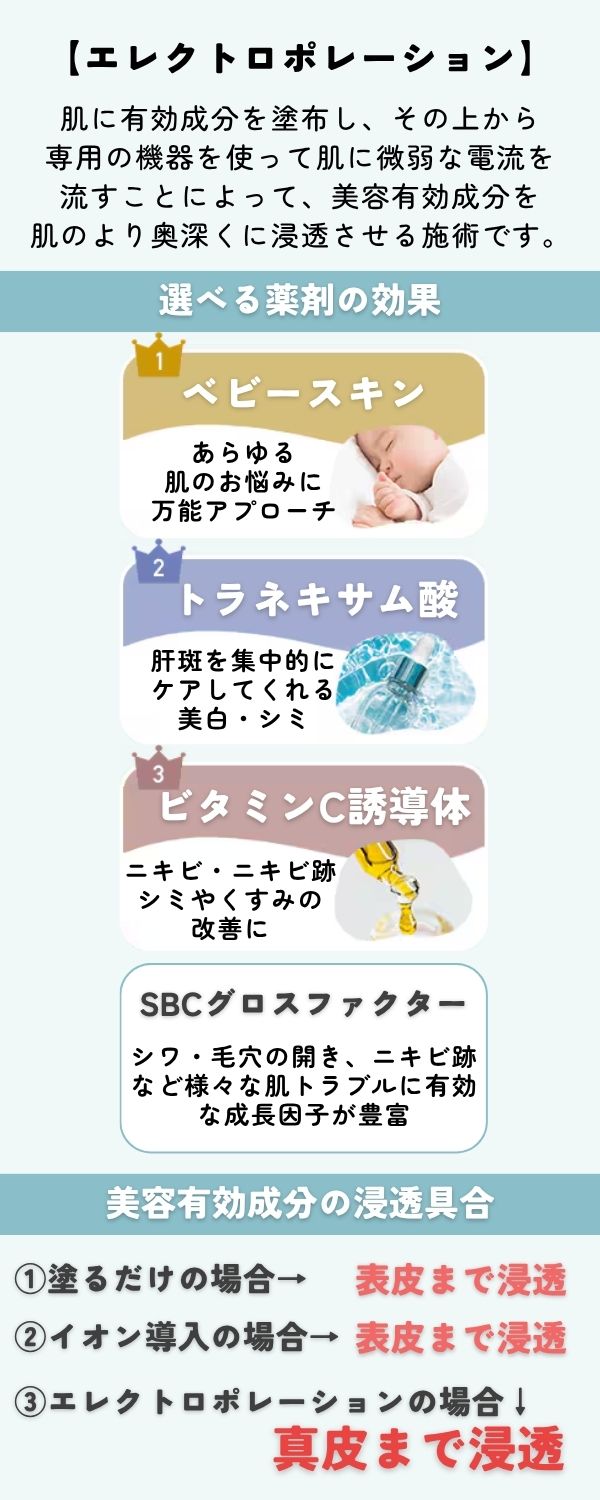 エレクトロポレーションって？