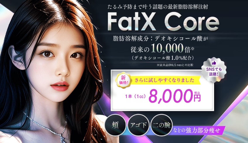 FatX core(ファットエックス コア)