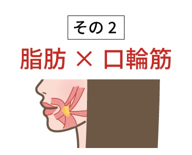 ②脂肪×口輪筋の最悪コンビ
