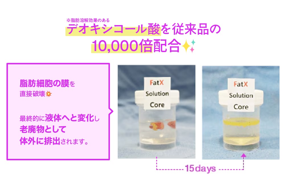 脂肪細胞をなくす仕組み