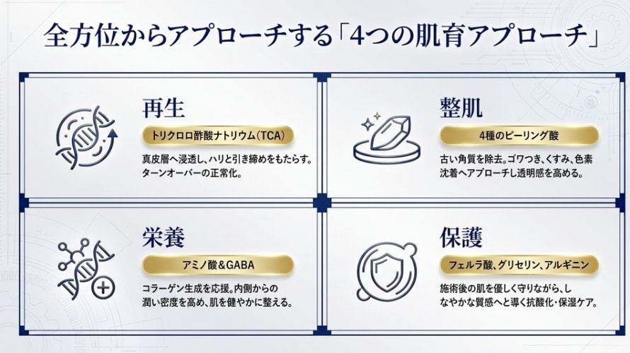 4つのアプローチ