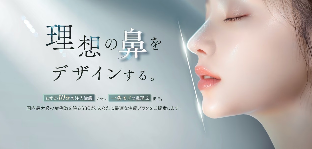 理想の鼻へ