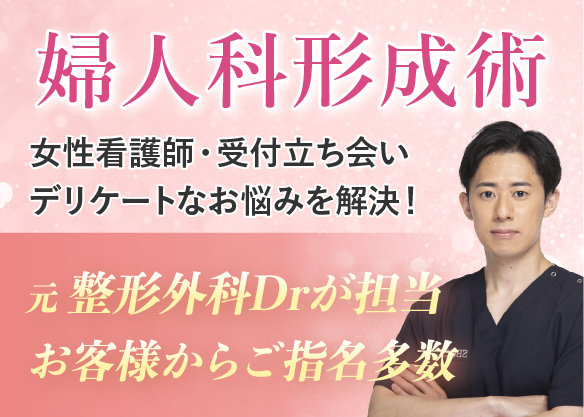 「婦人科形成術」モニター