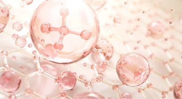 栄養：アミノ酸 & GABAによる「肌育」サポート