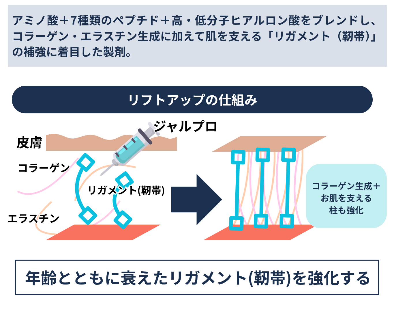 ジャルプロ仕組み解説図