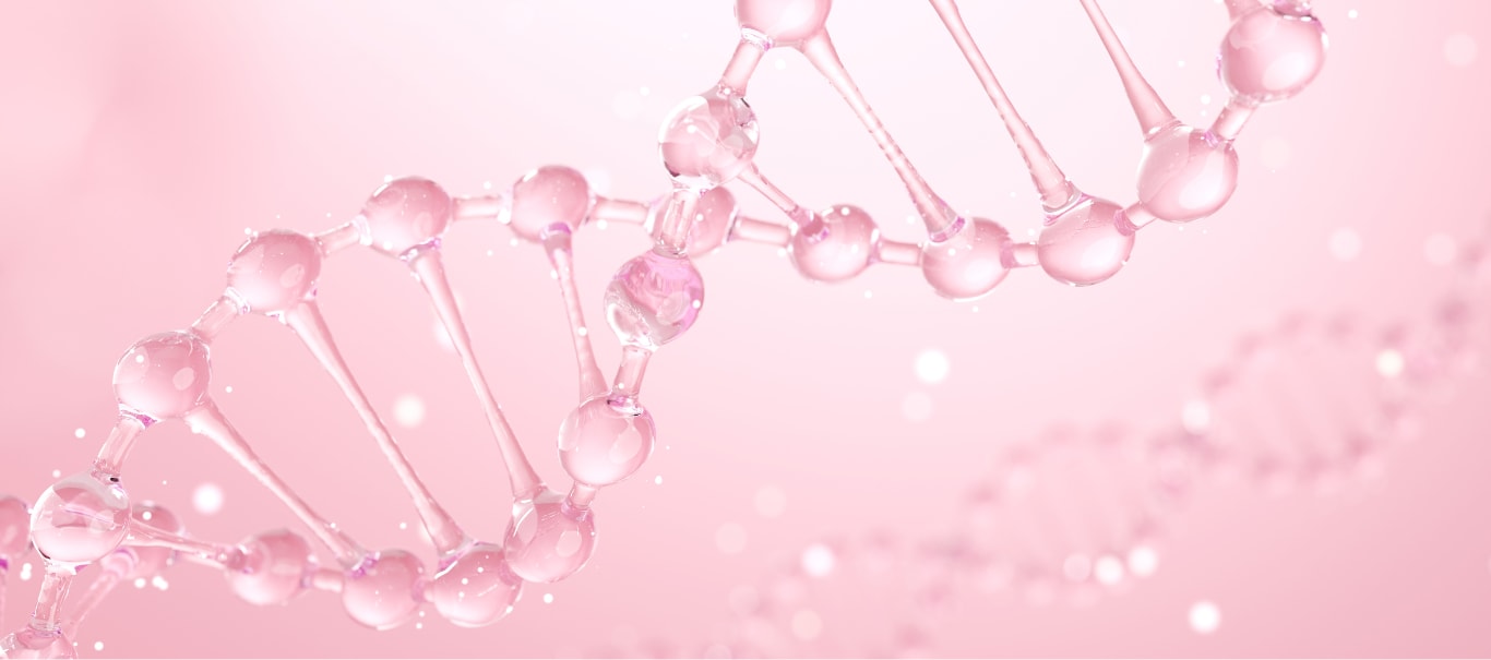 PDRNの進化版？高分子・高濃度の「PN（ポリヌクレオチド）」