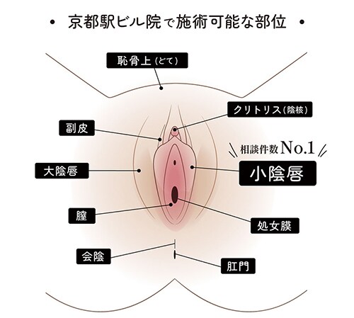 施術できる部位
