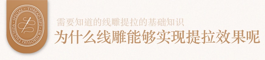 为什么线可以用于提拉?<br />