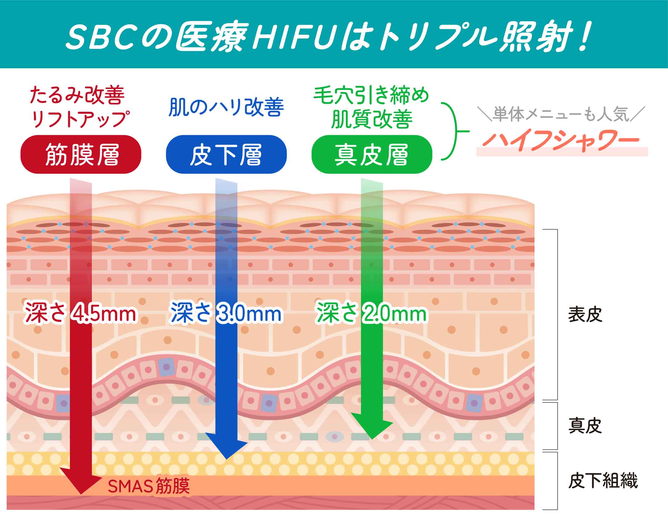 ハイフ と は
