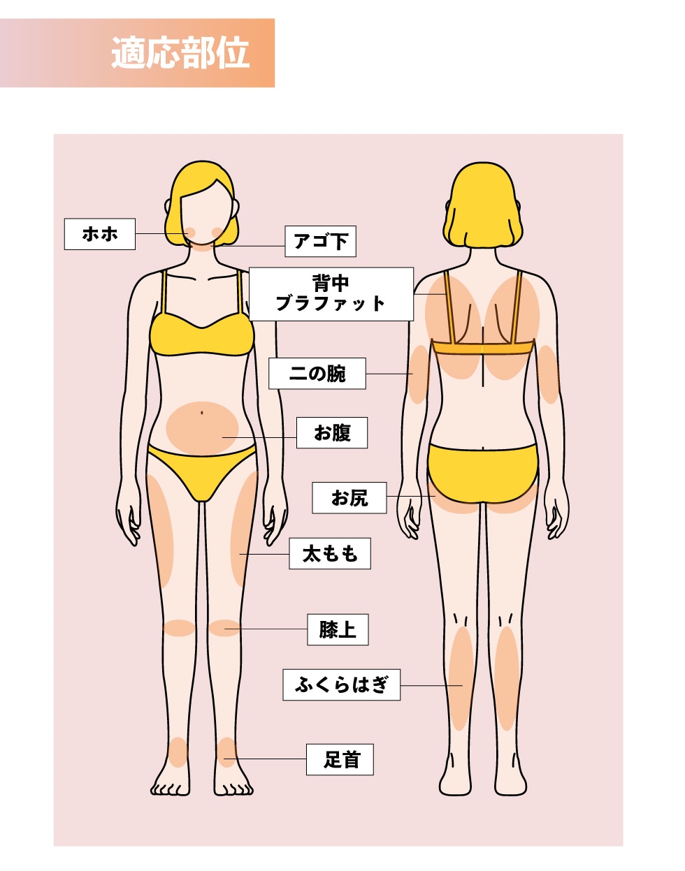 FatX Coreの適応部位