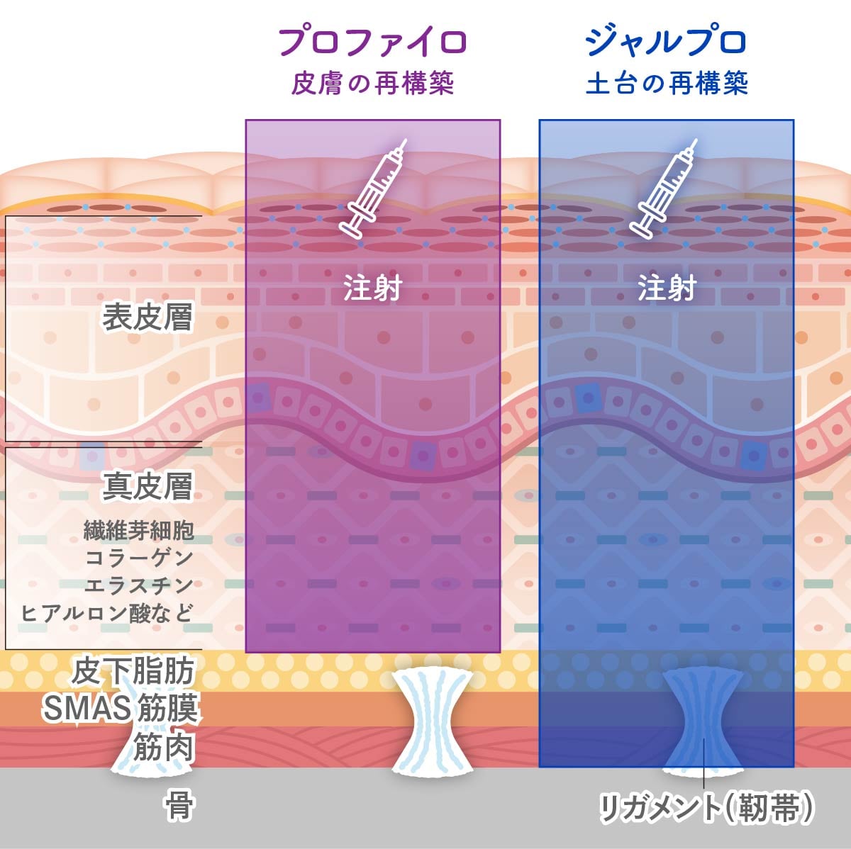 目的別！2つの肌育注射の違いを徹底解説