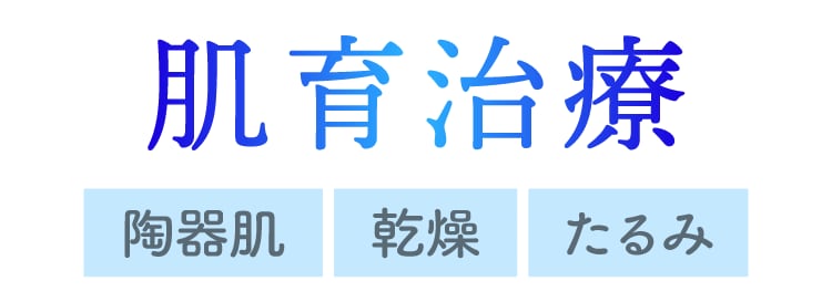 「肌質」そのものを良くしたい（肌育）