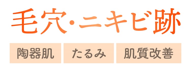 「毛穴・ニキビ跡」を治して、陶器肌になりたい