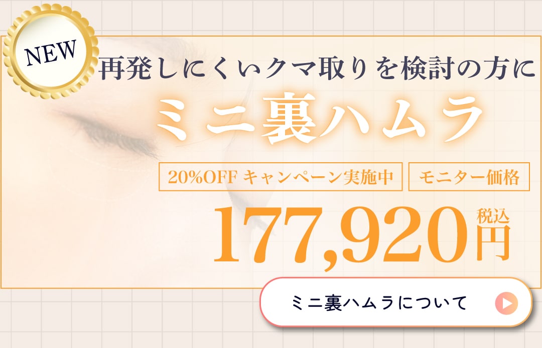 新メニュー【ミニ裏ハムラ】