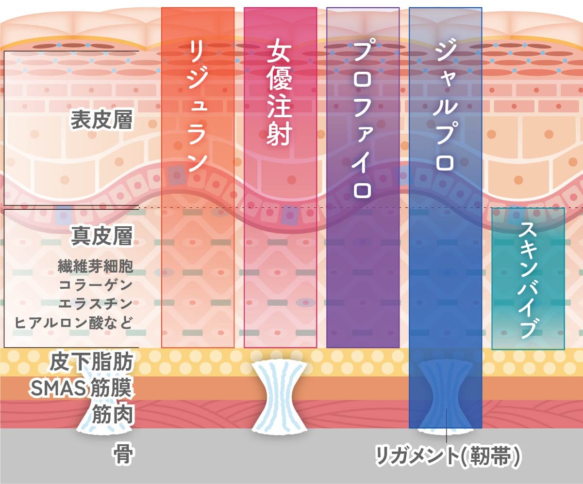 アプローチする肌の層の図