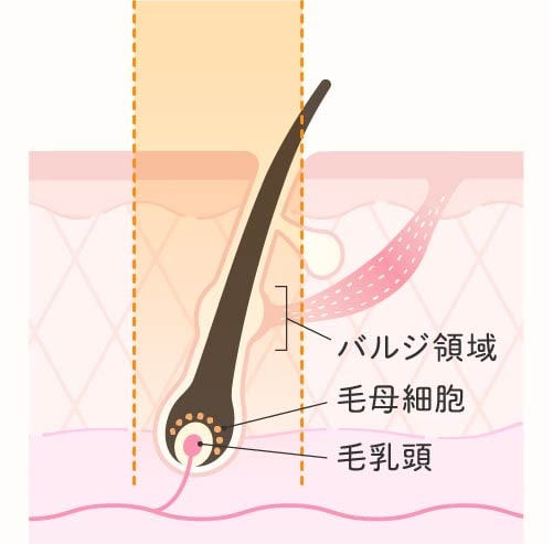医療脱毛の効果
