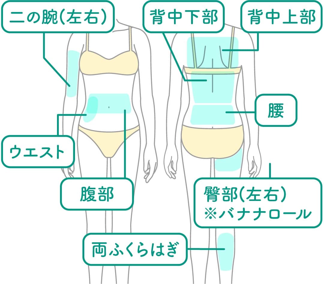 ボディMパーツの対象部位図解