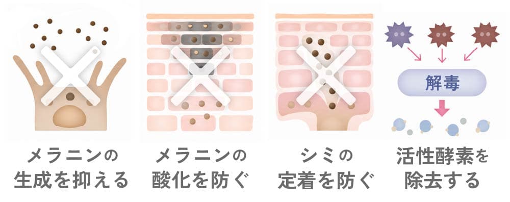 グルタチオンの3つのアミノ酸と美白効果のメカニズム