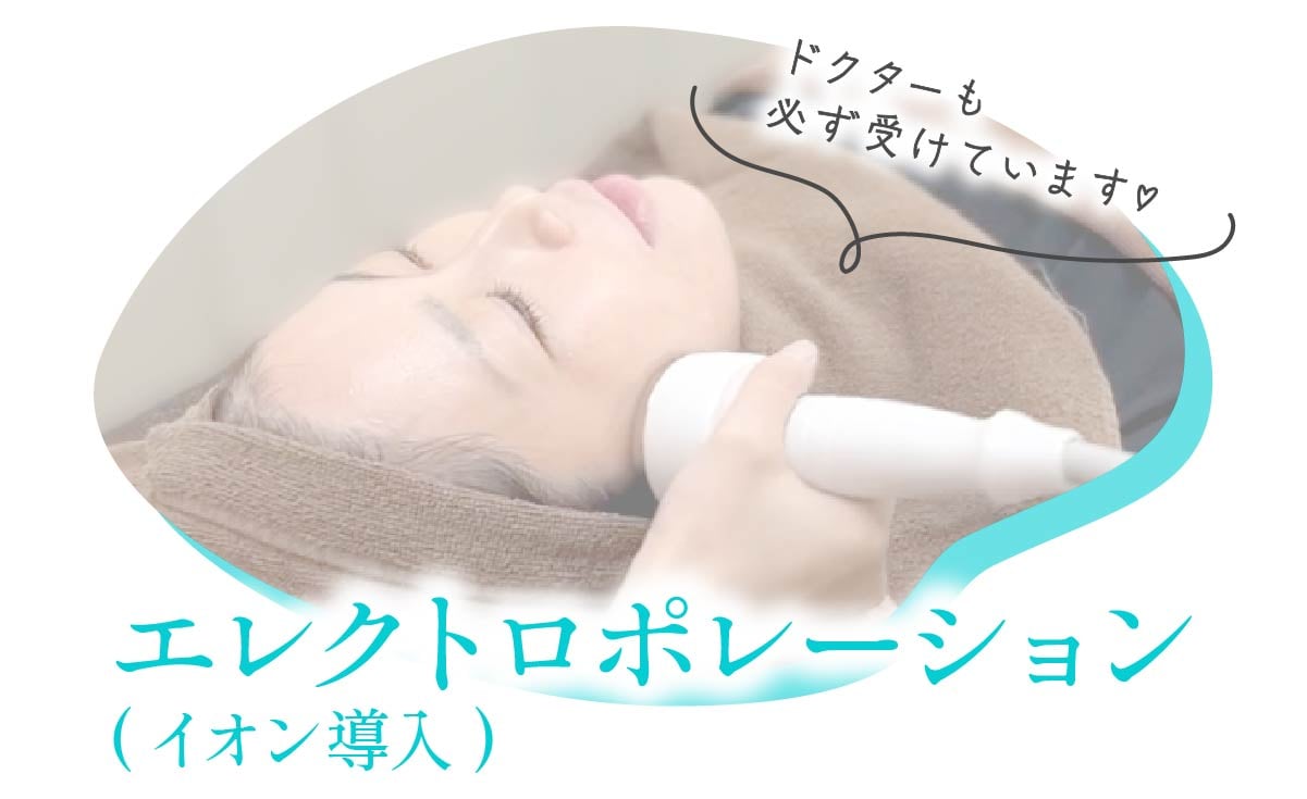 エレクトロポレーション