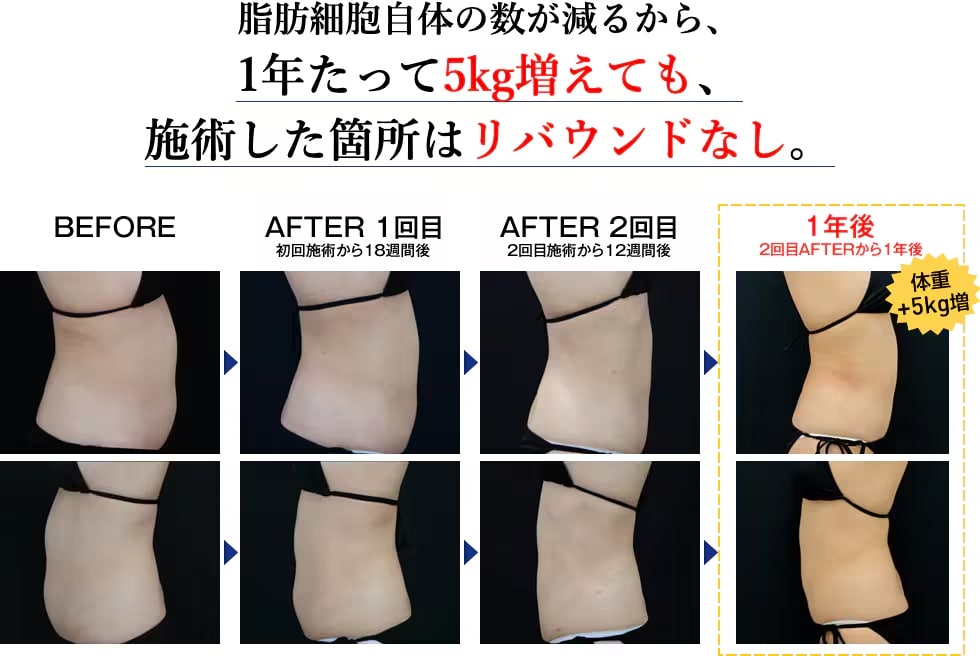 体重が増えてもリバウンドなし！