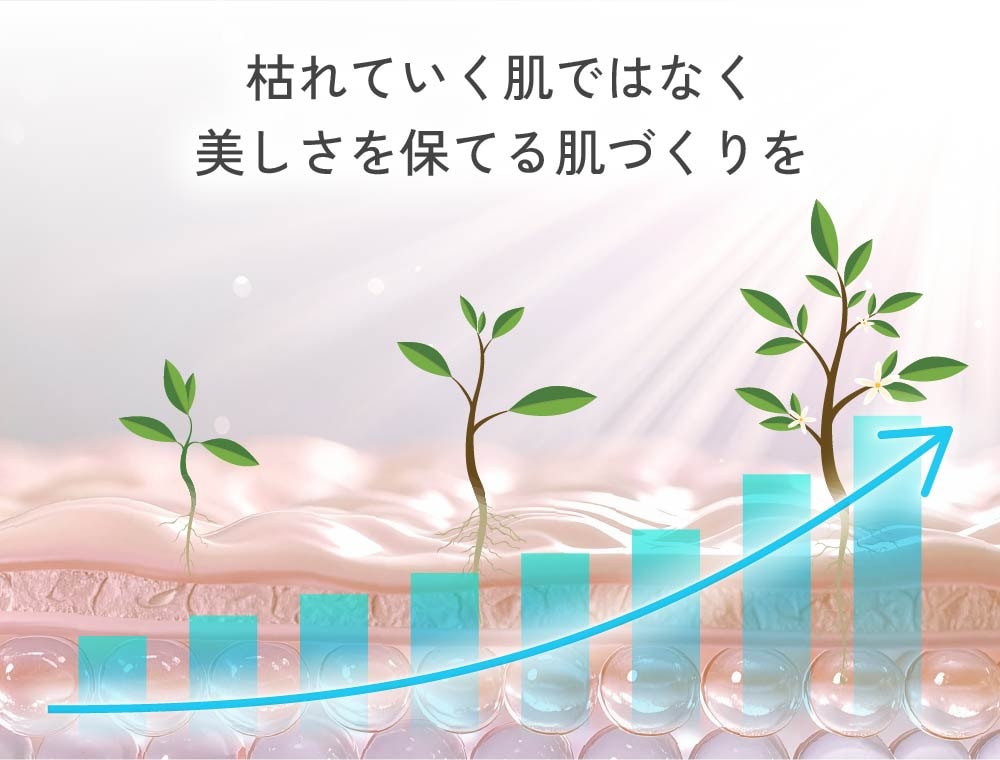 肌投資のイメージ