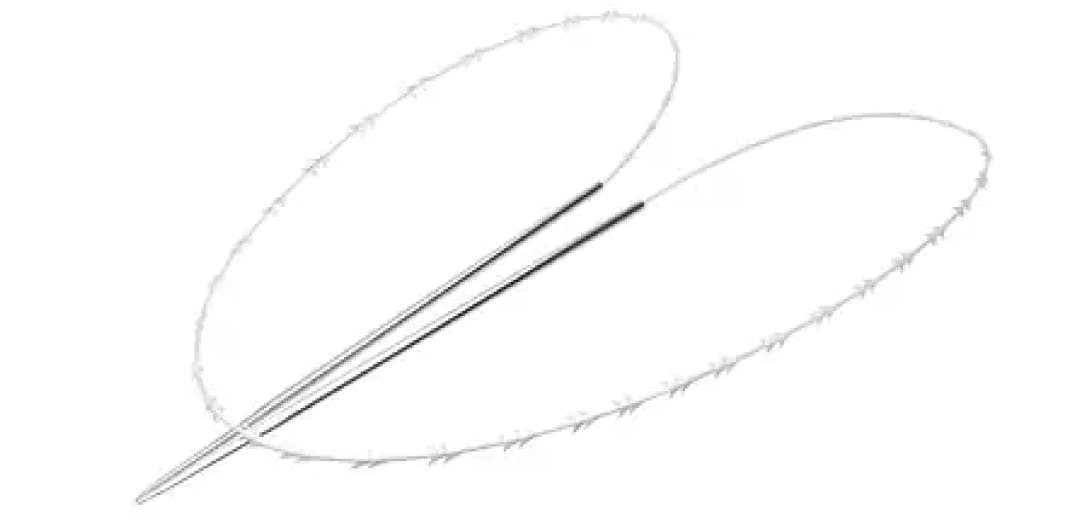 若返り効果・持続力