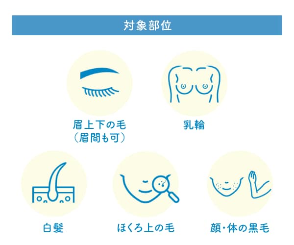 施術ができる部位はこちら