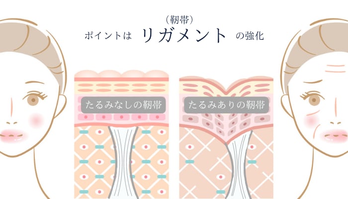 ここがすごいぞ、ジャルプロ!!