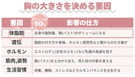 なぜ大きさに個人差があるのか