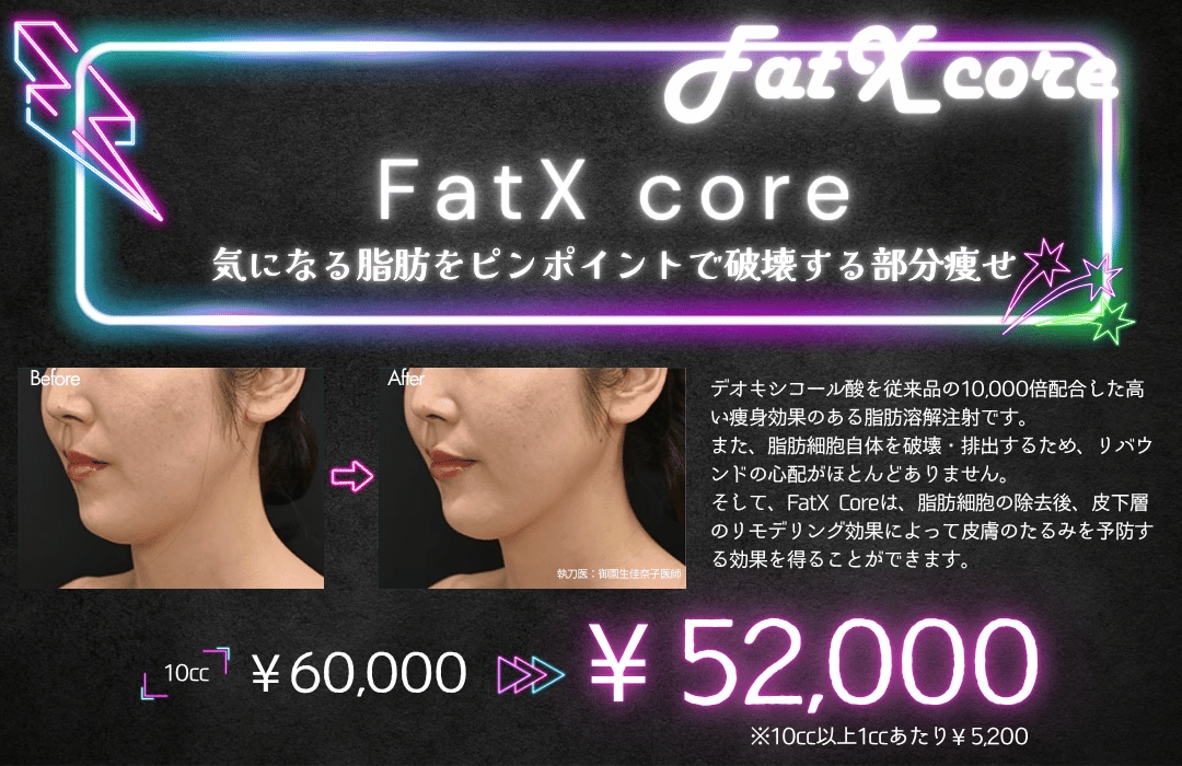 FatX core