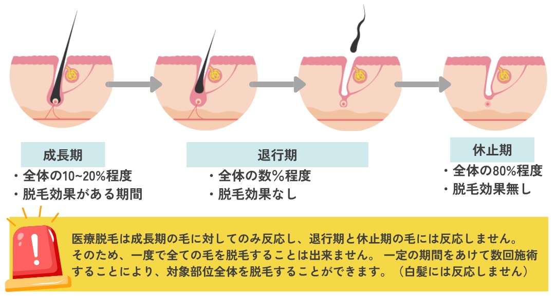 正しい間隔で最大限の効果